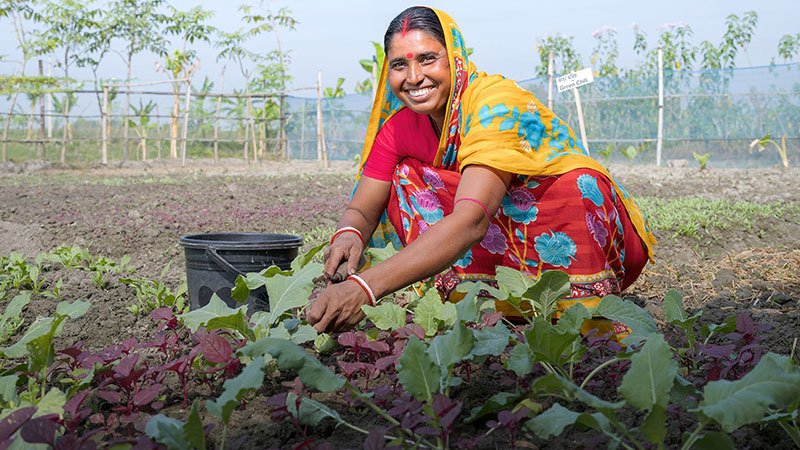 Bangladeshi household member operating a small income-generating livelihood activity